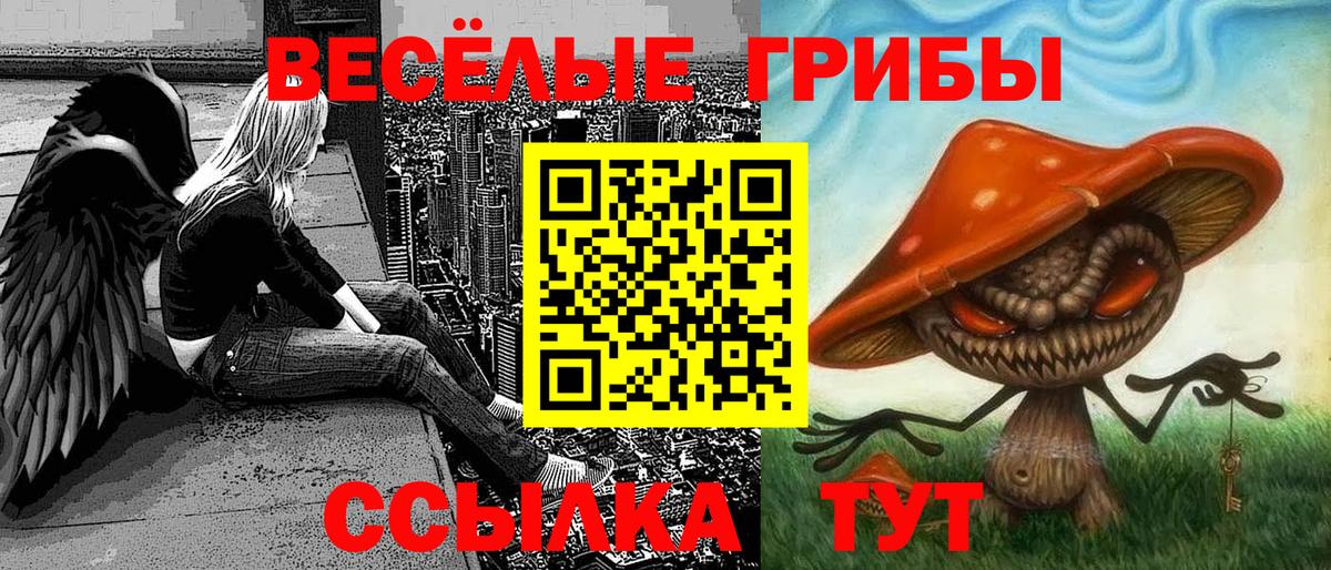 Галлюциногенные грибы Psilocybe  Псилоцибиновые грибы мицелий  Рубцовск 